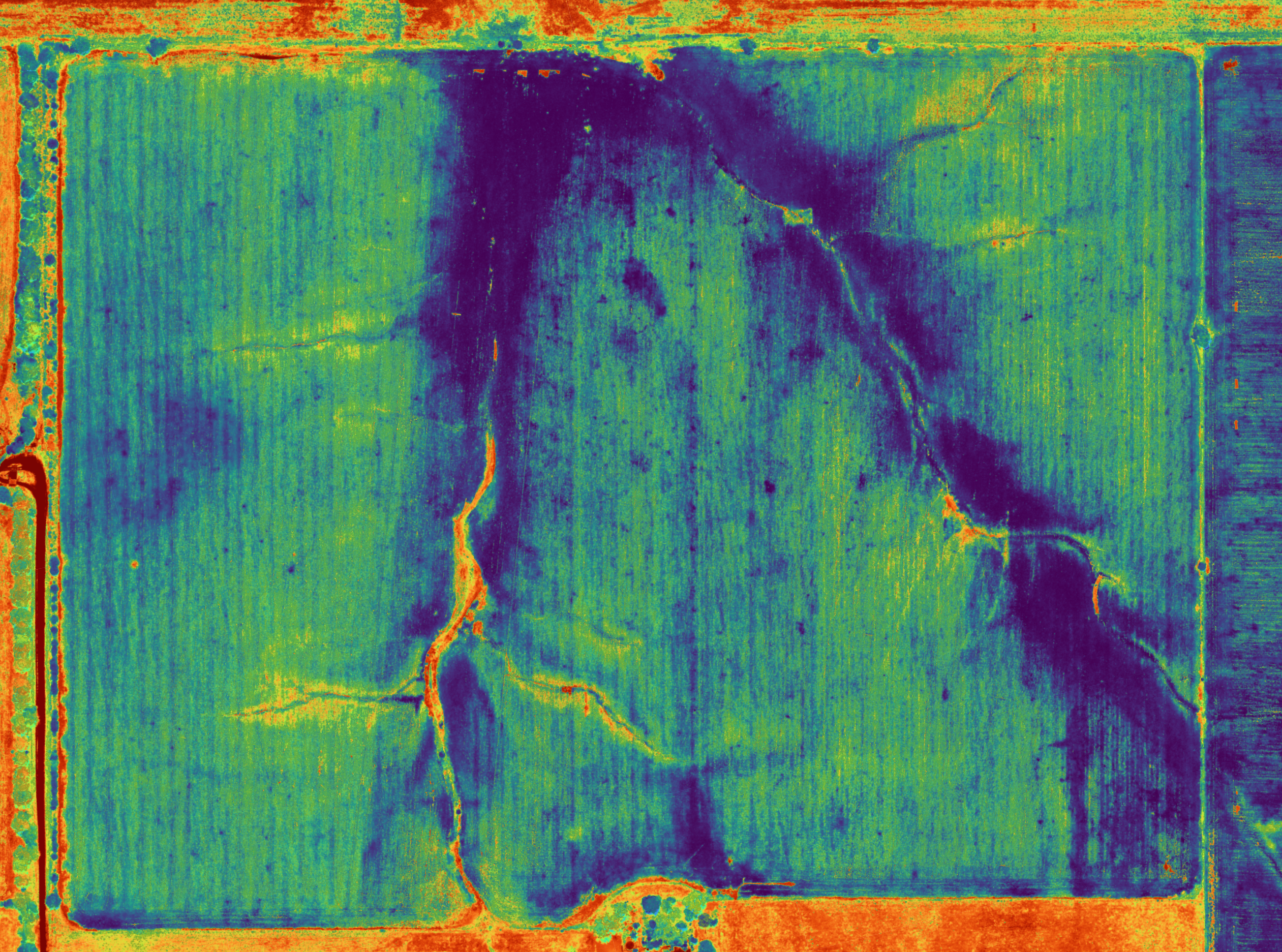 NDVI drone mapping showing crop health analysis